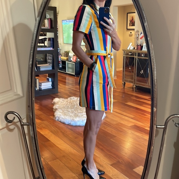 Super versatile Bohemian striped denim belted dress, Size 10! Alice + Olivia! - Picture 3 of 16